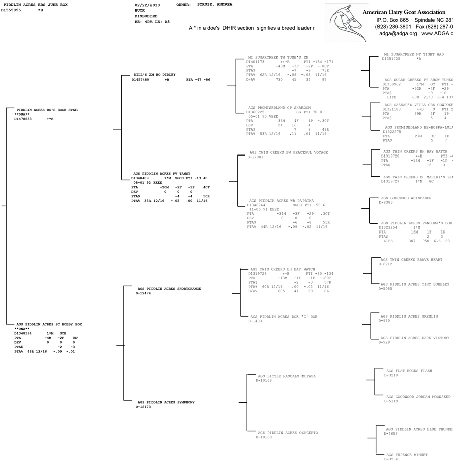 Piddlin Acres BRS Juke Box pedigree