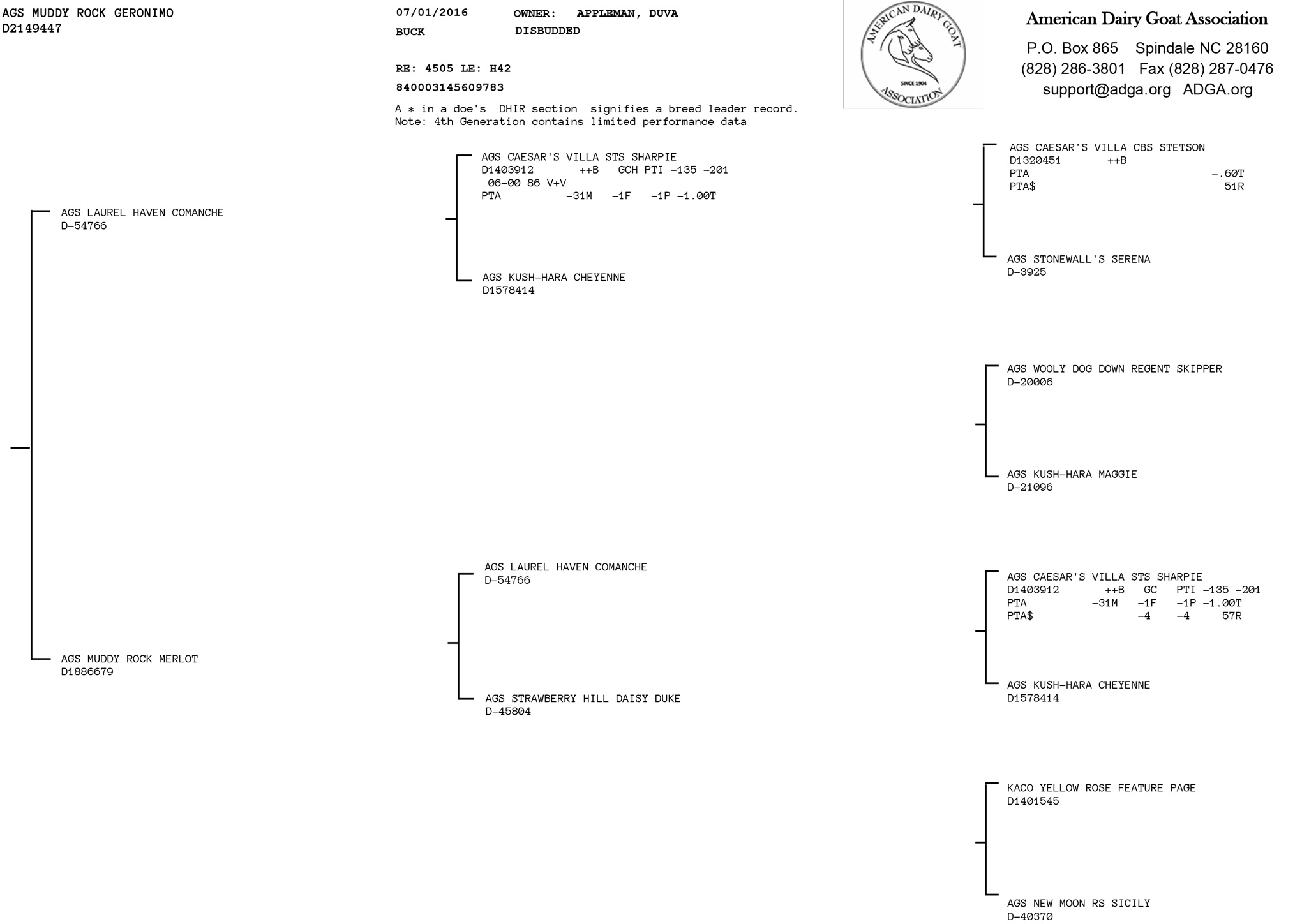 Muddy Rock Geronimo pedigree