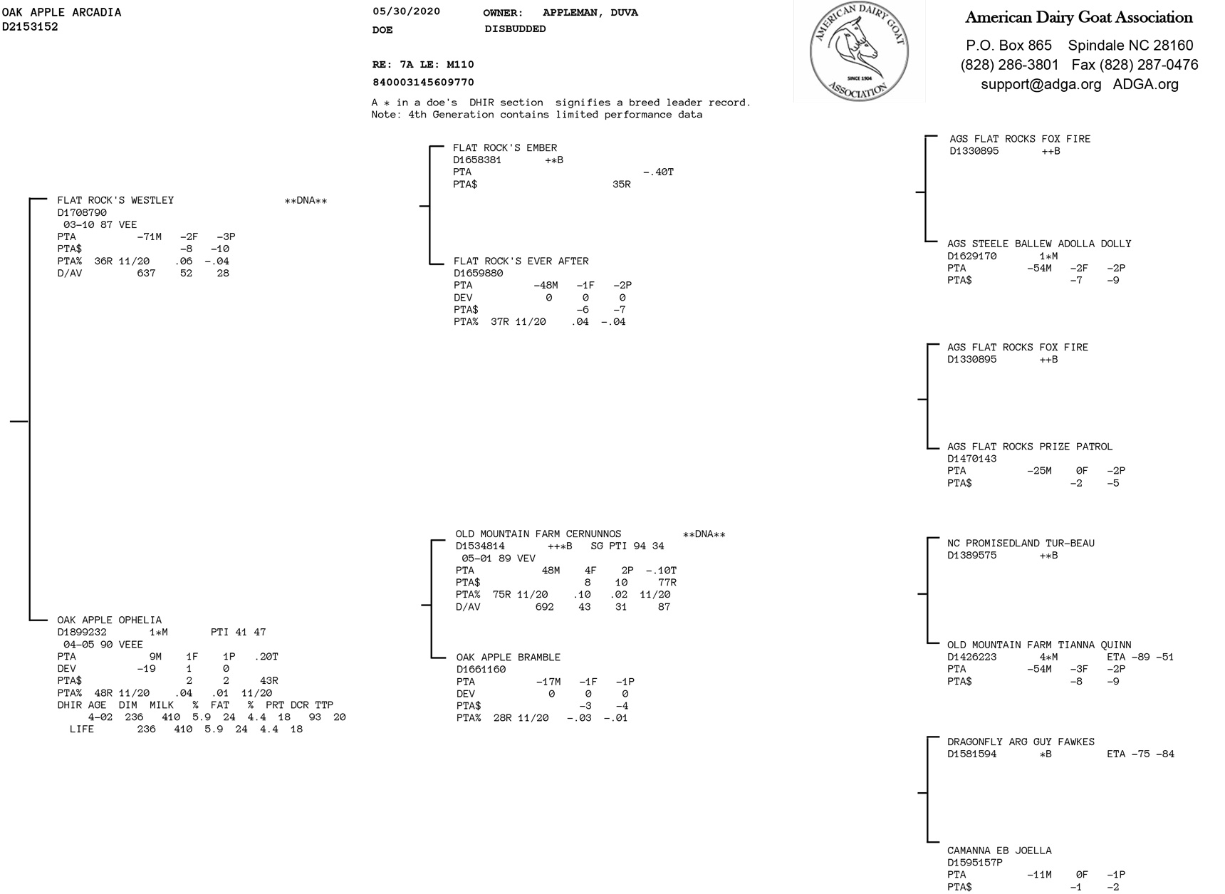 Oak Apple Arcadia pedigree