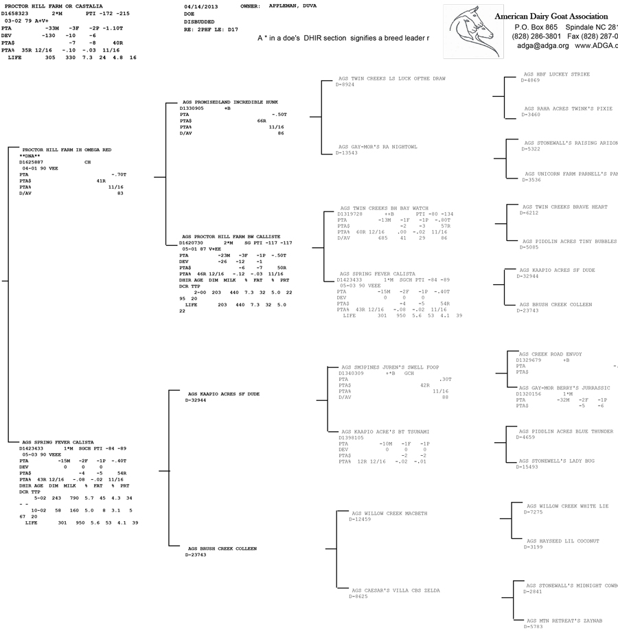 Proctor Hill Farm OR Castalia pedigree