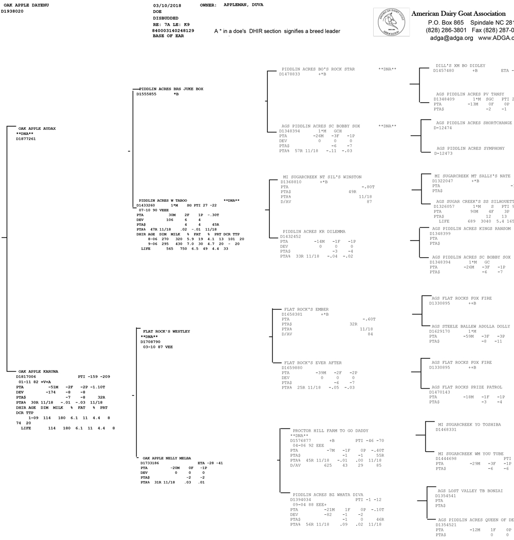 Oak Apple Dayenu pedigree