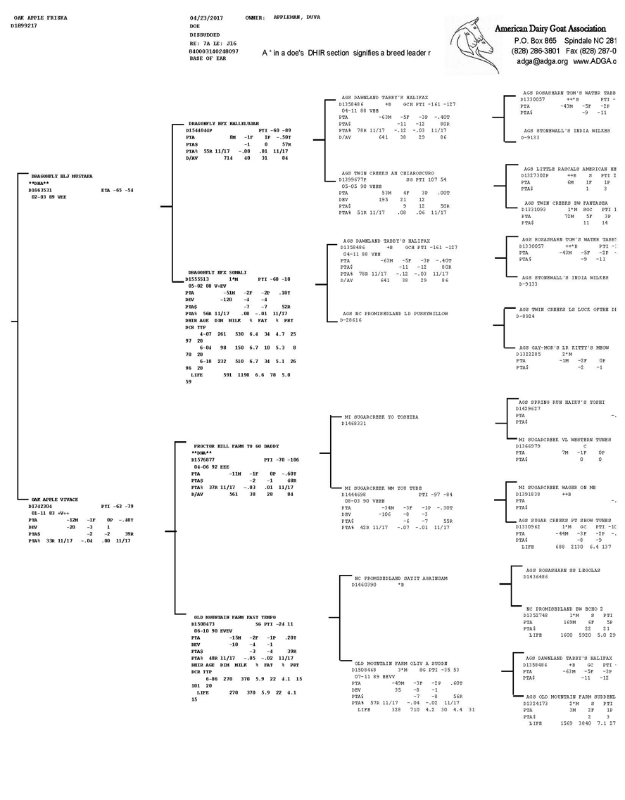 Oak Apple Friska pedigree