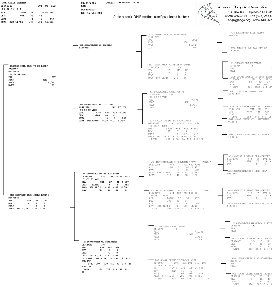 Oak Apple Zephyr pedigree