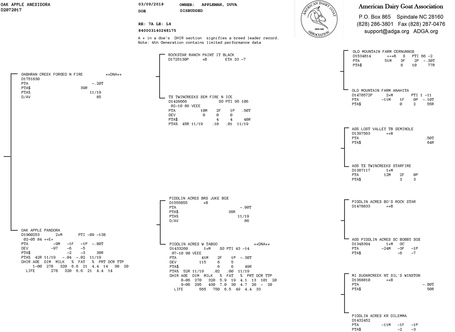 Oak Apple Anesidora pedigree