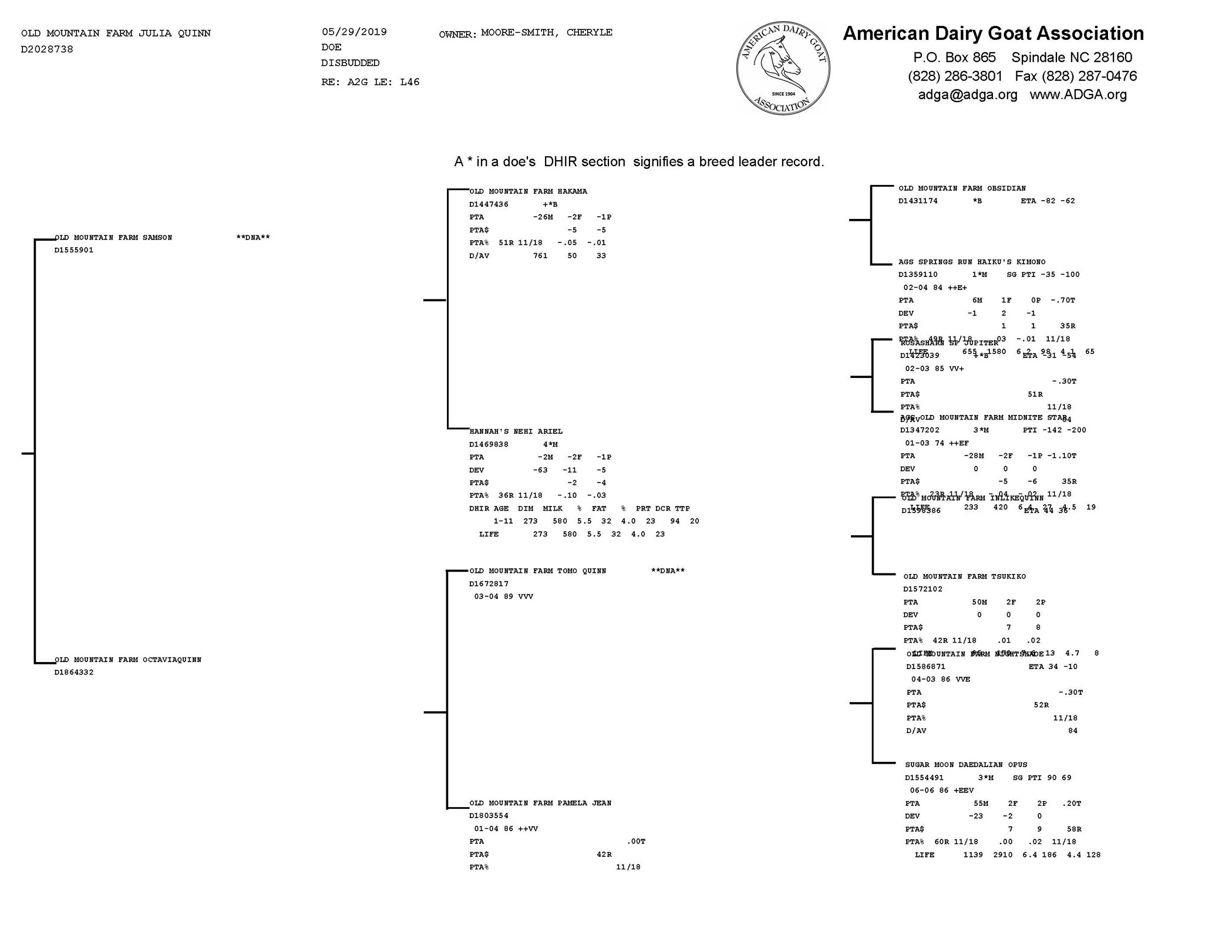 Old Mountain Farm Julia Quinn pedigree