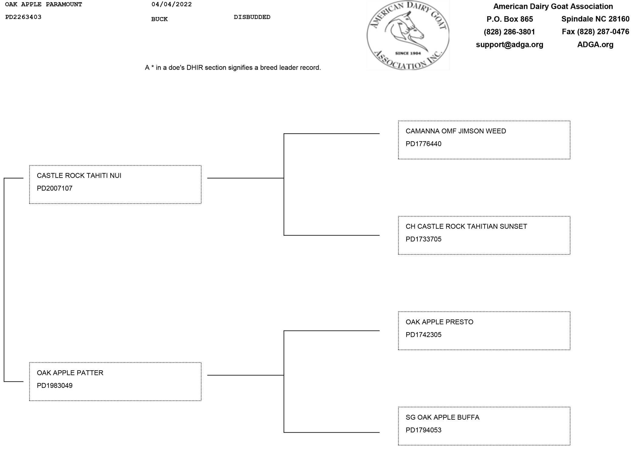 Oak Apple Paramount pedigree