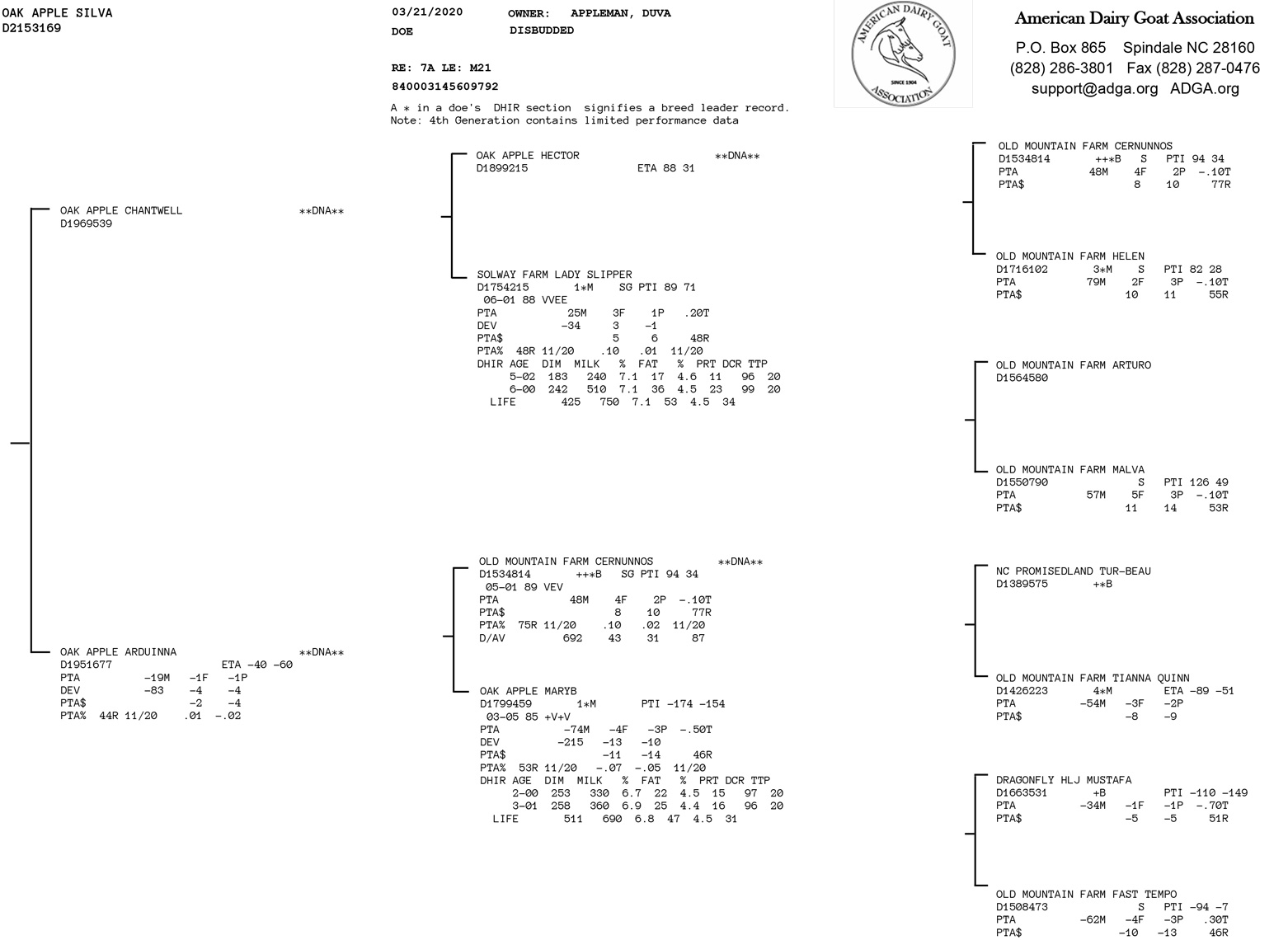 Oak Apple Silva pedigree